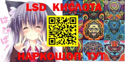 спиды Камышлов
