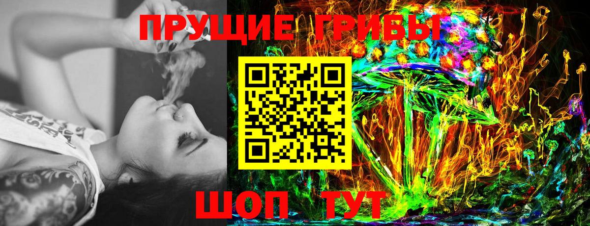 Псилоцибиновые грибы Psilocybine cubensis Люберцы